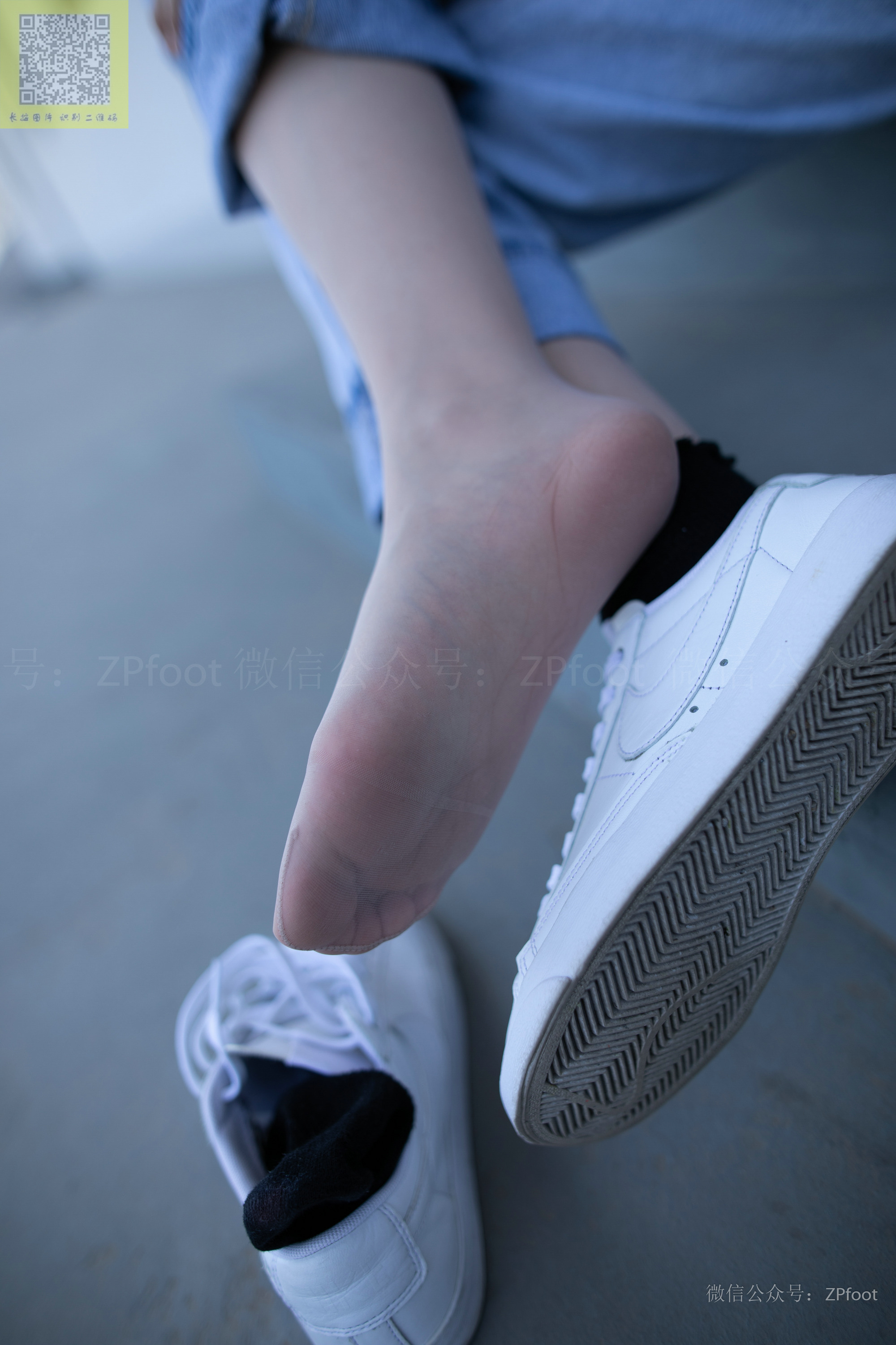 ISS山茶摄影 024 鑫鑫库里丝